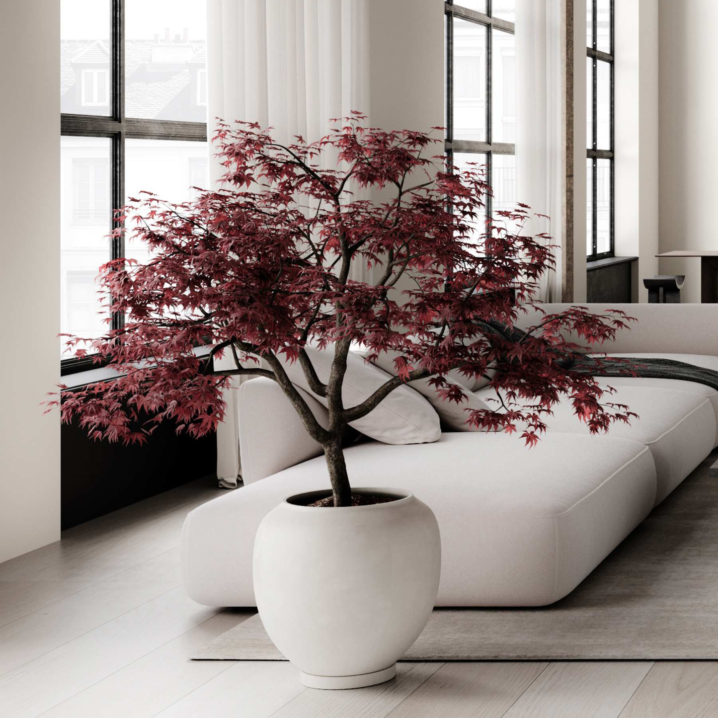 Sunao Plant Pot, Hexa - Birch